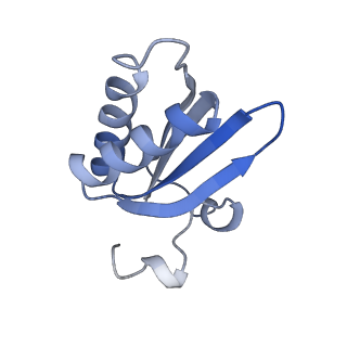 20207_6owg_B4_v1-2
Structure of a synthetic beta-carboxysome shell, T=4