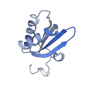 20207_6owg_B4_v1-3
Structure of a synthetic beta-carboxysome shell, T=4