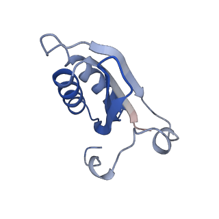 20207_6owg_B5_v1-3
Structure of a synthetic beta-carboxysome shell, T=4