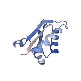 20207_6owg_B6_v1-2
Structure of a synthetic beta-carboxysome shell, T=4