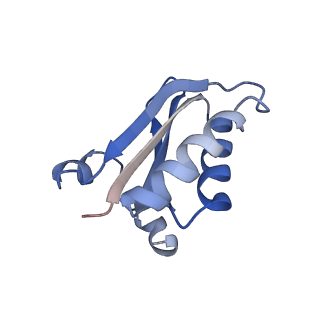 20207_6owg_B6_v1-3
Structure of a synthetic beta-carboxysome shell, T=4