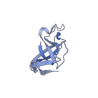 20207_6owg_B7_v1-2
Structure of a synthetic beta-carboxysome shell, T=4