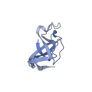 20207_6owg_B7_v1-3
Structure of a synthetic beta-carboxysome shell, T=4