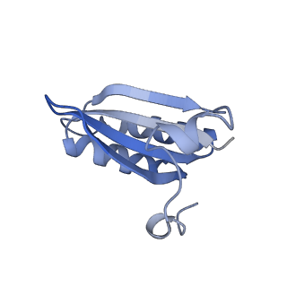 20207_6owg_B8_v1-2
Structure of a synthetic beta-carboxysome shell, T=4