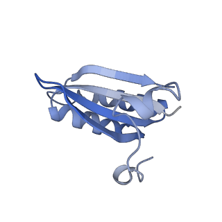 20207_6owg_B8_v1-3
Structure of a synthetic beta-carboxysome shell, T=4