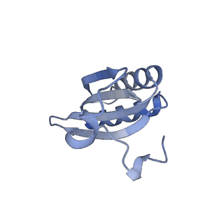 20207_6owg_B9_v1-2
Structure of a synthetic beta-carboxysome shell, T=4