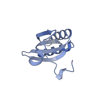 20207_6owg_B9_v1-3
Structure of a synthetic beta-carboxysome shell, T=4