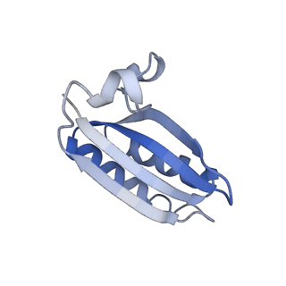 20207_6owg_BA_v1-2
Structure of a synthetic beta-carboxysome shell, T=4