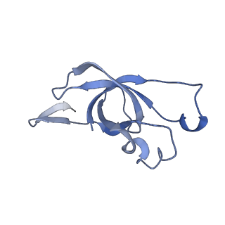 20207_6owg_BB_v1-2
Structure of a synthetic beta-carboxysome shell, T=4