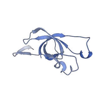 20207_6owg_BB_v1-3
Structure of a synthetic beta-carboxysome shell, T=4