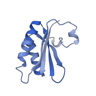 20207_6owg_BC_v1-2
Structure of a synthetic beta-carboxysome shell, T=4