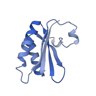 20207_6owg_BC_v1-3
Structure of a synthetic beta-carboxysome shell, T=4