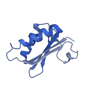 20207_6owg_BD_v1-2
Structure of a synthetic beta-carboxysome shell, T=4