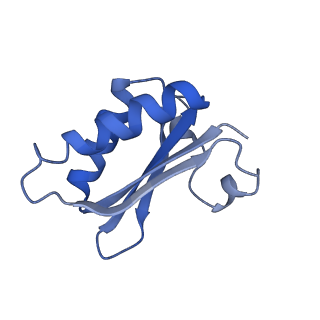 20207_6owg_BD_v1-3
Structure of a synthetic beta-carboxysome shell, T=4