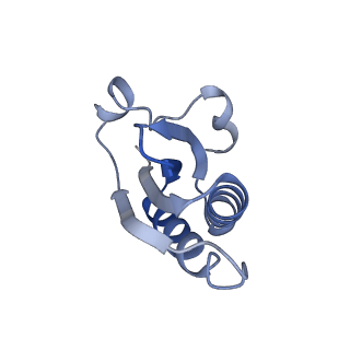 20207_6owg_BE_v1-2
Structure of a synthetic beta-carboxysome shell, T=4