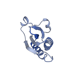 20207_6owg_BE_v1-3
Structure of a synthetic beta-carboxysome shell, T=4