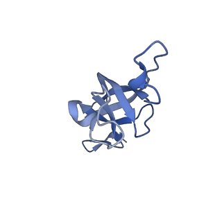 20207_6owg_BF_v1-2
Structure of a synthetic beta-carboxysome shell, T=4