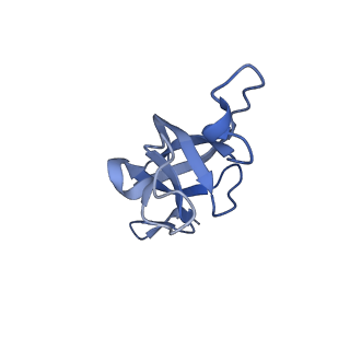 20207_6owg_BF_v1-3
Structure of a synthetic beta-carboxysome shell, T=4