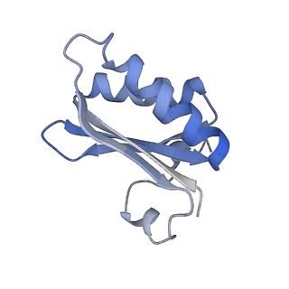 20207_6owg_BG_v1-2
Structure of a synthetic beta-carboxysome shell, T=4