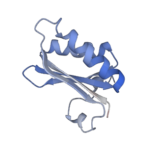 20207_6owg_BG_v1-3
Structure of a synthetic beta-carboxysome shell, T=4