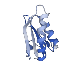 20207_6owg_BH_v1-2
Structure of a synthetic beta-carboxysome shell, T=4