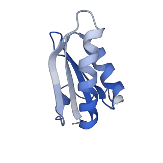 20207_6owg_BH_v1-3
Structure of a synthetic beta-carboxysome shell, T=4