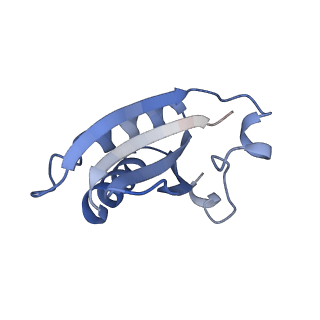 20207_6owg_BI_v1-3
Structure of a synthetic beta-carboxysome shell, T=4