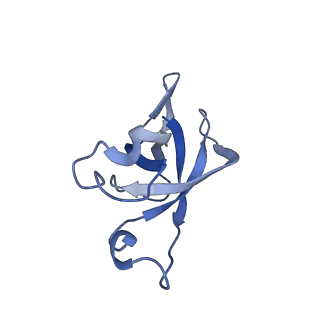 20207_6owg_BJ_v1-2
Structure of a synthetic beta-carboxysome shell, T=4