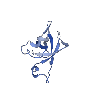 20207_6owg_BJ_v1-3
Structure of a synthetic beta-carboxysome shell, T=4