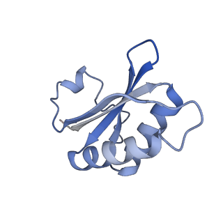 20207_6owg_BK_v1-2
Structure of a synthetic beta-carboxysome shell, T=4