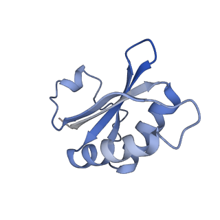 20207_6owg_BK_v1-3
Structure of a synthetic beta-carboxysome shell, T=4