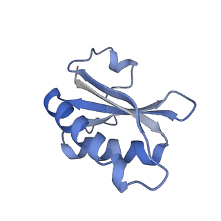 20207_6owg_BL_v1-2
Structure of a synthetic beta-carboxysome shell, T=4