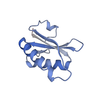 20207_6owg_BL_v1-3
Structure of a synthetic beta-carboxysome shell, T=4