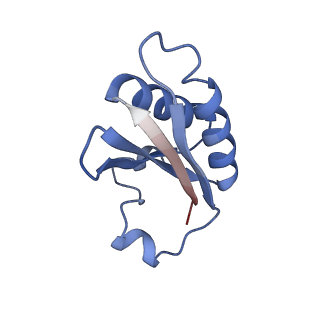20207_6owg_BM_v1-2
Structure of a synthetic beta-carboxysome shell, T=4
