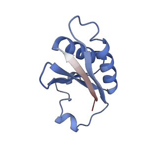 20207_6owg_BM_v1-3
Structure of a synthetic beta-carboxysome shell, T=4