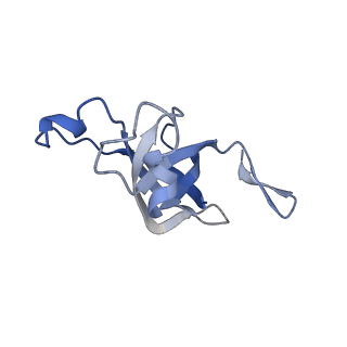 20207_6owg_BN_v1-2
Structure of a synthetic beta-carboxysome shell, T=4