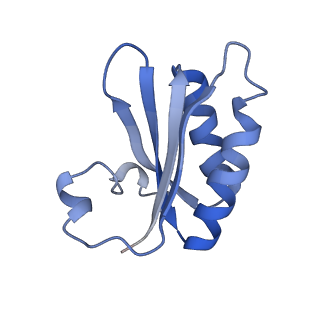 20207_6owg_BO_v1-2
Structure of a synthetic beta-carboxysome shell, T=4