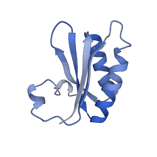 20207_6owg_BO_v1-3
Structure of a synthetic beta-carboxysome shell, T=4