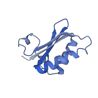 20207_6owg_BP_v1-2
Structure of a synthetic beta-carboxysome shell, T=4
