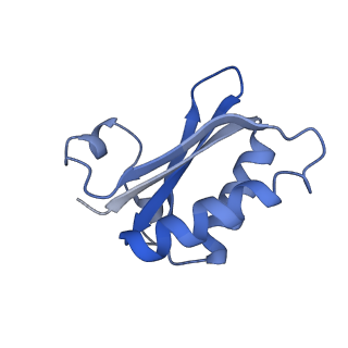 20207_6owg_BP_v1-3
Structure of a synthetic beta-carboxysome shell, T=4