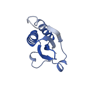 20207_6owg_BQ_v1-2
Structure of a synthetic beta-carboxysome shell, T=4