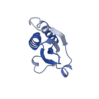 20207_6owg_BQ_v1-3
Structure of a synthetic beta-carboxysome shell, T=4