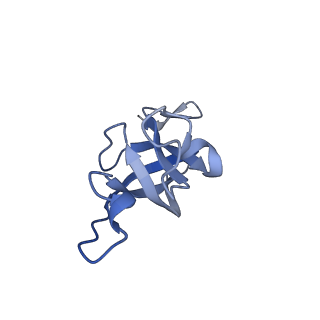 20207_6owg_BR_v1-2
Structure of a synthetic beta-carboxysome shell, T=4