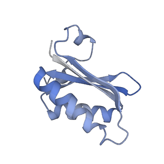 20207_6owg_BS_v1-2
Structure of a synthetic beta-carboxysome shell, T=4