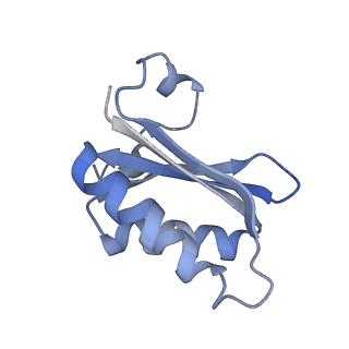 20207_6owg_BS_v1-3
Structure of a synthetic beta-carboxysome shell, T=4