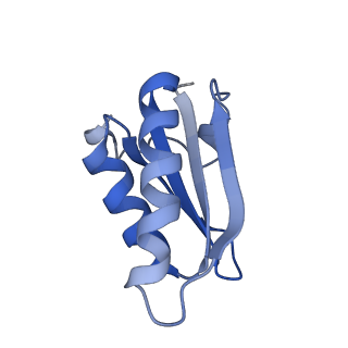 20207_6owg_BT_v1-2
Structure of a synthetic beta-carboxysome shell, T=4
