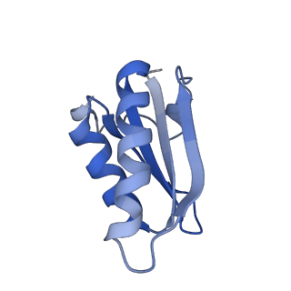 20207_6owg_BT_v1-3
Structure of a synthetic beta-carboxysome shell, T=4