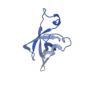 20207_6owg_BV_v1-2
Structure of a synthetic beta-carboxysome shell, T=4