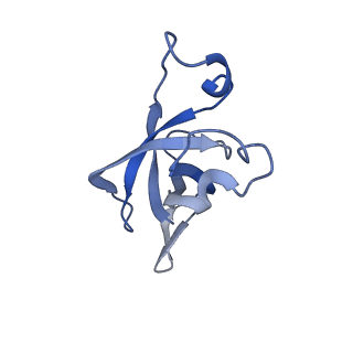 20207_6owg_BV_v1-3
Structure of a synthetic beta-carboxysome shell, T=4