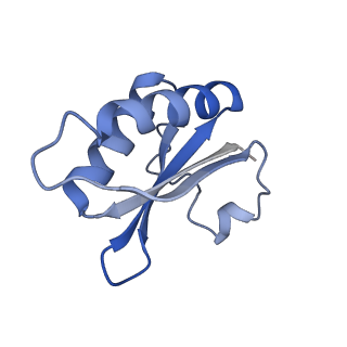 20207_6owg_BW_v1-2
Structure of a synthetic beta-carboxysome shell, T=4